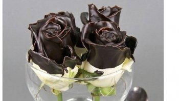 Vous pouvez oublier les boîtes Champs Elysées et les classiques Ferrero Rocher pour les fêtes de fin d’année. Les chocolats que vous allez découvrir à présent sont d’un tout autre niveau, bien plus créatifs et originaux de ceux qu’on a l’habitude de voir.

(extrait d'un article trouvé sur internet )

