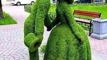 belle cascade de jardins (pierre naturelle décorée de plantes vivaces et de fleurs)