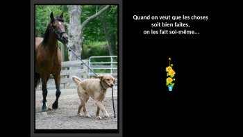 On ne se lasse pas  de deviner leurs pensées à travers leurs expressions...