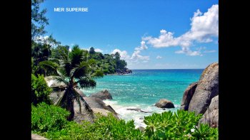 MArtinique  île magique.... rêves de fleurs,de colibris
Champs de canne à sucre... Punch pour la gaîté....
Soleil et mer toujours bleue........