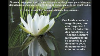 
Mes parents étaient 2 pigeons voyageurs amoureux de l’Asie ..ils sont tombés sous le charme de ce pays envoûtant... comme je ne sais pas faire les montages photos, j'ai trouvé sur internet cet  intéressant diapo ,que j'ai plaisir à partager avec vous ...belle journée.