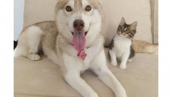 Une belle histoire, une histoire "Magique ", un vrai conte de NOËL...