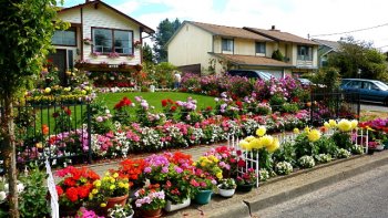 voilà un jardinier qui ne ménage pas sa peine!!!