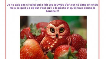 Pour embellir nos tables et surprendre nos invités  quelques idées tres decoratives....
Vous verrez  que nos amis Quebécquois  ont l'art de presenter leurs etals ..