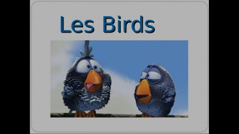 Les birds jamais fatigués de parler des sujets qui fâchent......... 