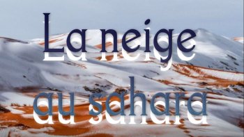 La nature se permet des fantaisies ...merci à Charlotte pour ce partage ,,, 
les dromadaires  ont du être étonnés ..peut être ont ils apprécié cette fraîcheur inattendue.  
