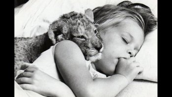 des photos  prises au bon moment, des photos sur le vif : tendres, complices, émouvantes, amusantes, chacun y trouvera une émotion..