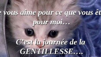 IL suffirait de si peu de choses pour  alléger   et embellir une journée,,,
il suffit d'un (une) amie  ,,d'un regard,,d'un petit mot ,,juste "sincère " pour ramener un peu de chaleur dans le coeur..
ce ne sont  pas les grandes phrases qui comptent ,,,
simplement un signe ,,un sourire,,
"être là ..au" bon" moment  pour partager les "mauvais  "  
et ensoleiller  les petites occasions  de la vie courante    ,sans  ne penser qu'à soi ...
