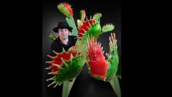 Les   artistes   nous etonneront toujours  ,,par leur talent  et l'originalité  ainsi que la finesse  de leurs oeuvres,,,