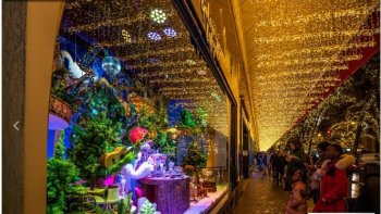 Les vitrines de Noël et sapin géant des Galeries Lafayette Haussmann 2022 sur la Planète Sapin..  spectacles pour petits et grand enfants 

un diaporama  (source internet ) et une petite vidéo  pour commencer  la promenade ..
