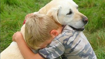 UNE Très belle histoire !