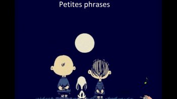 Un petit panaché  de phrases   du tac Ô tac...quelques unes bien  "senties " !!!