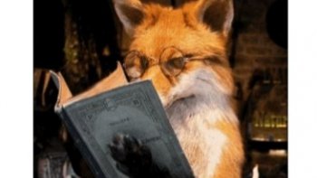 Bien que le sujet ne prête pas à rire,,tentons de l' exorciser par un peu de sourires...

à voir  en grand écran  .pour mieux lire .merci ..