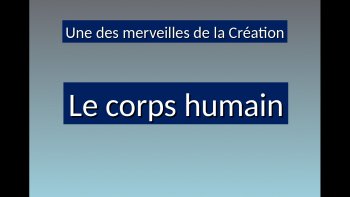 Une petite révision... POUR TOUT SAVOIR SUR UNE MERVEILLE DE TECHNOLOGIE... NOTRE CORPS
