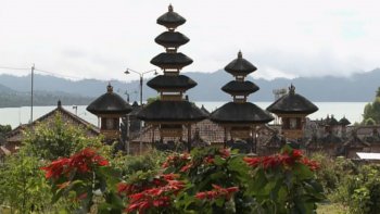 Magnifique diaporama photos, concocté par Louisette, montrant des clichés significatifs de la petite île de BALI en Indonésie, près de l'Ile de Java. Elle fait vibrer l'imagination au gré de ses vues colorées et apporte un témoignage sur les habitudes ponctuant la vie des Balinais. C'est un voyage poétique qu'elle offre aux visiteurs en ligne.