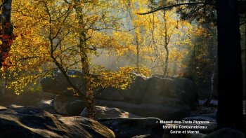 un petit tour de France   (c'est de circonstance ) sans pédaler....