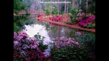 Au hasard de ses promenades, CHARLES TRENET,
découvrit un jardin  extraordinaire, séduit par le calme
opposé aux vacarme de la ville, la verdure en guise de
béton; à ce charme s'ajoute la rencontre d'Artémise....
belle comme le jour... et naquit une chanson
hélas il nous manque sa voix...