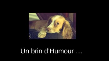 TOUT LE MONDE  sur le pont des sourires !... IL faut garder le moral par les temps qui courent ... bonne journée à tous ....en avant la musique (y en n'a pas)