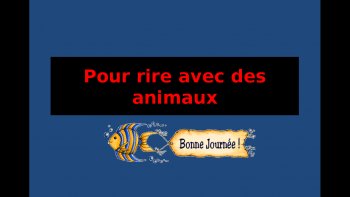 Allons... un peu de sel un peu de poivre un peu d'huile et de  vinaigre  et voilà un diapo à la sauce  "sourire" 