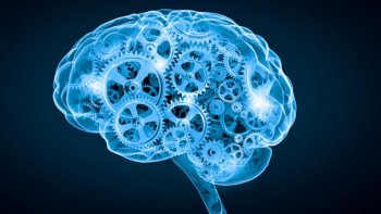  lecture globale ou syllabique ? 
 Essayez ces deux tests :
Il y a 2 jeux-tests de stimulation du cerveau
ci-dessous. Le premier est assez connu.
Le second est assez intéressant.

