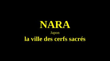 Au japon, la ville de Nara est le paradis des cerfs (animal sacré). Ils font bon ménage avec les habitants. Chez nous, il y a les pigeons...