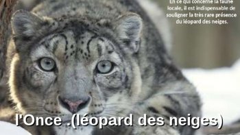 Une excursion  en hauteur ,,,préparez vos doudounes ,,,,les moufles et les bonnets,,