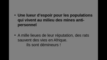 L'intelligence du rat n'est plus à démontrer ;il faut savoir que ces animaux sont utiles  ,sociables, et facilement apprivoisés ..même s'ils sont "détestés "par bon nombre de gens... voici un sujet qui   va les faire paraître sympathiques ..doris et Victoria vous remercient de votre attention ...