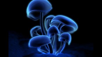 partageons si vous le voulez bien un petit moment zeeeen

merci aux photographes...