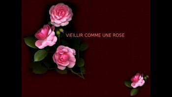Les jours s'effeuillent comme la rose.......dans  le parfum des jours