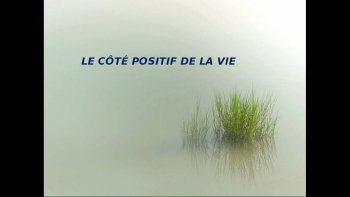 Un peu de douceur et de paix, dans notre quotidien angoissant.