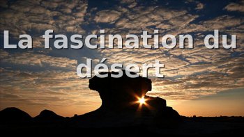 PROFITONS   D'UN  PETIT VOYAGE  DANS LE DÉSERT....