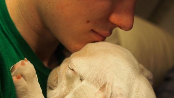 chien et humain amis pour la vie