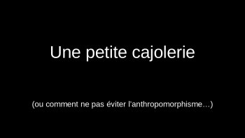 
QUELQUES PHOTOS AMUSANTES ...les animaux nous imitent ..(D & G )