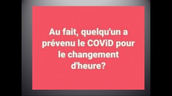 Les petites piques  nous font oublier un instant  ce monde de "OUFS 
(un meli melo d'images )