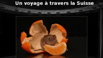 Préparez vos valises...je vous invite à voyager  en Suisse
 pour des vacances virtuelles ....