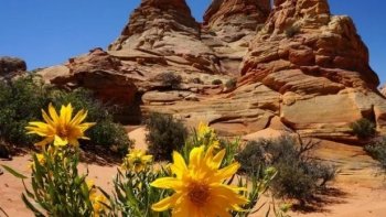 Un voyage  qui  nous emmène en Arizona ..où la nature  a créé  des merveilles ...

avec la participation de Charlotte,,que je remercie pour cette découverte 

(À  VOIR EN GRAND ÉCRAN.....)