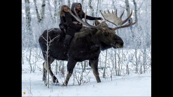 Nature où le plus gros mange le plus petit, afin de survivre ;