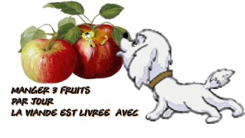 "Bizarre ! vous avez dit :bizarre ?"