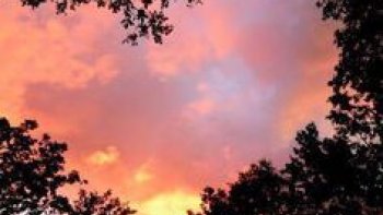 il est des mots endimanchés, beaux à l'oreille...Mais..il y a des simples mots....ceux de la vie ..qui la construisent, ou l'emprisonnent ...au quotidien....( les petits malins vont trouver qu'il manque un mot à cinq lettres.......Effectivement, j'ajouterai le mot MERCI..à quoi pensiez-vous donc ?