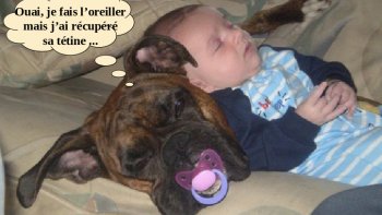 Quelle belle communion entre nos petits enfants  et nos animaux préférés

sourires assurés