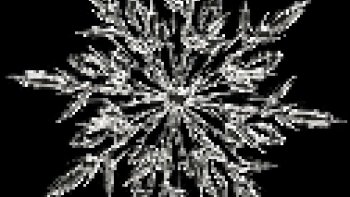 comment rester de glace devant tant d'imagination et de talent et de technique 