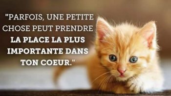 Merci pour votre partage et belle journée à vous !