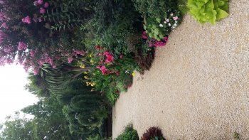 Le site de la promenade fleurie à mimizan est exceptionnel par la variété des plantes et fleurs, plus de 300 variétés pour le plaisir des visiteurs.