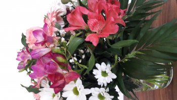 c'est aussi ce que je souhaite aux ordissinautes