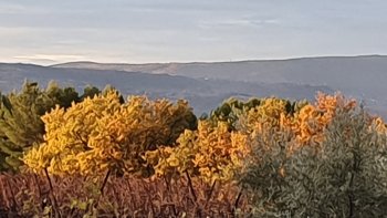 des jours meilleurs?