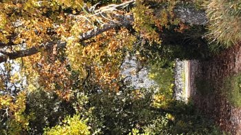 poème de Paul Fort
chanté par Brassens