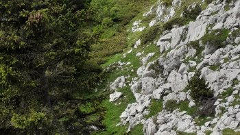 Profitons de cette journée de beau temps , alors qu'il pleut chaque jour .
