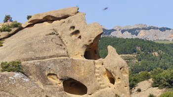 Entre vignobles et garrigue  ... au coeur des vignes de Baume de Venise, se dresse un monstre marin ... 
