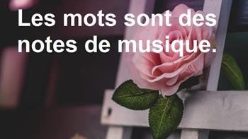 *A elle seule, la vie est une citation *