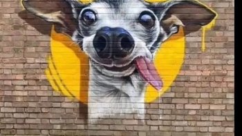  quelques œuvres qui méritent notre attention...
 imagination ,,talent et humour